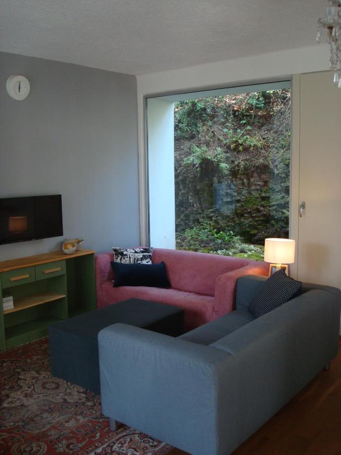 Apartman Pod Velkou Amerikou Morina Exterior photo